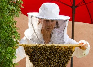 rlind_anitaamstutzbees_061215140