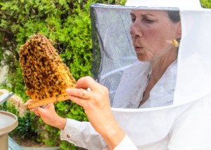 rlind_anitaamstutzbees_061215219