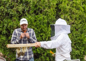 rlind_anitaamstutzbees_06121594