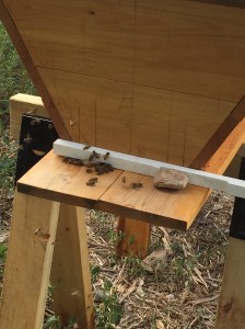 close up of the topper entrance